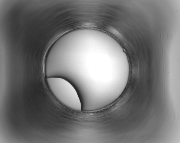 X0000088701370200705311008