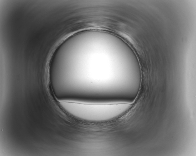 X0000088701371200705311008