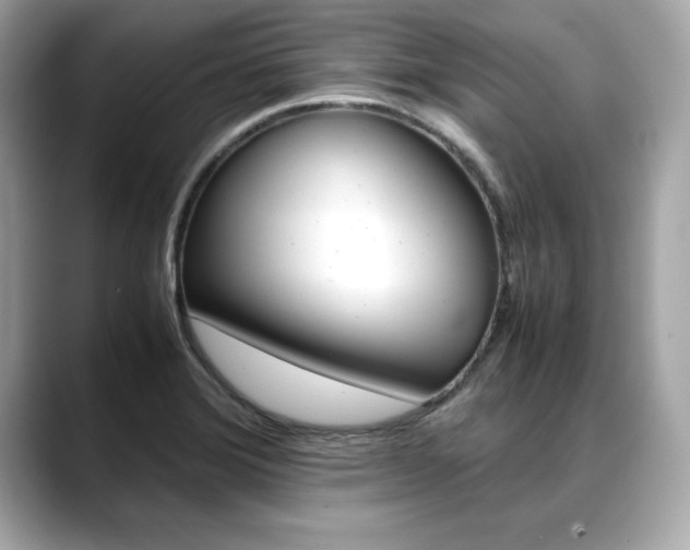 X0000088701372200705311008