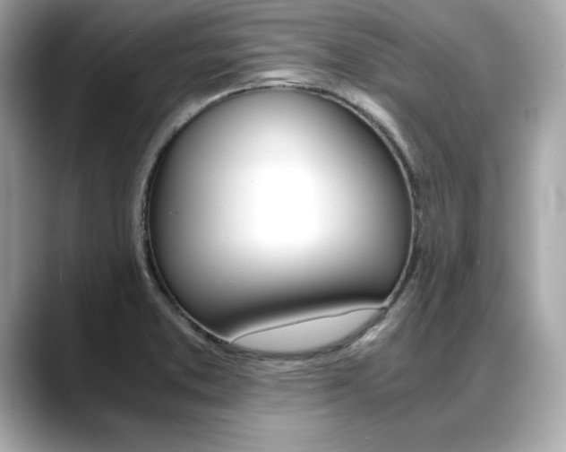 X0000088701373200705311008