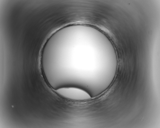 X0000088701374200705311008