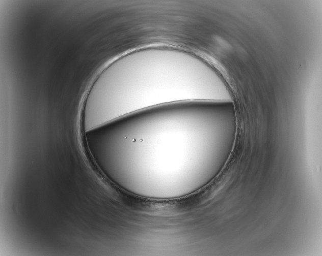 X0000088701375200705311008