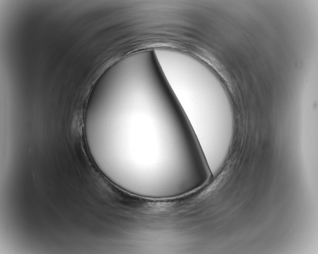 X0000088701377200705311008