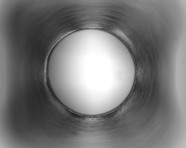 X0000088701378200705311008