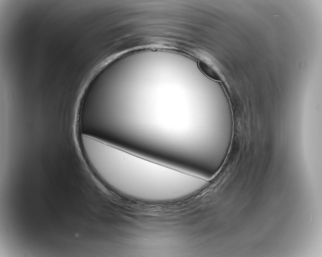 X0000088701379200705311008