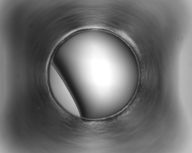 X0000088701380200705311008