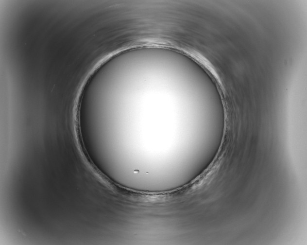 X0000088701381200705311008
