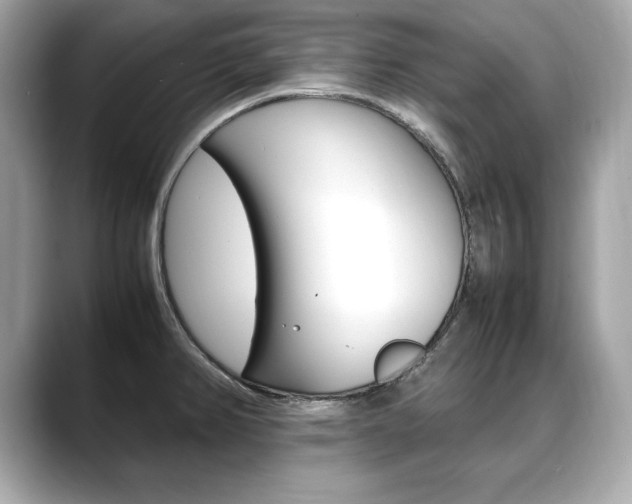 X0000088701382200705311008