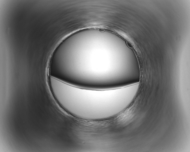 X0000088701383200705311008