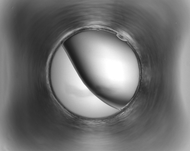 X0000088701384200705311008