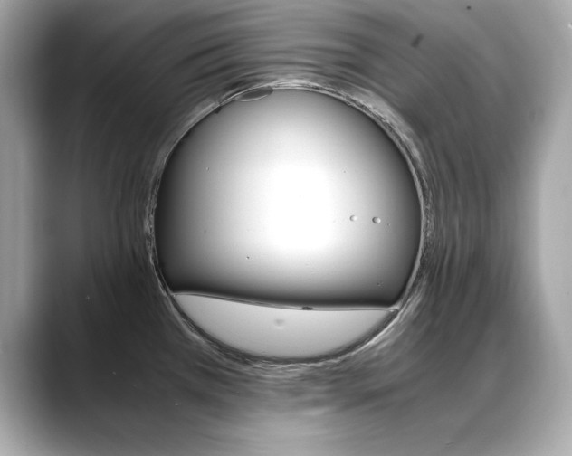 X0000088701385200705311008