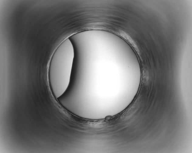 X0000088701386200705311008