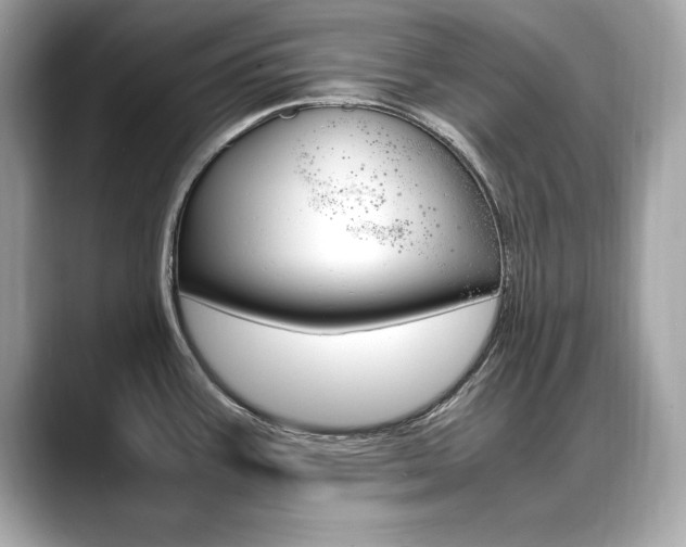 X0000088701387200705311008
