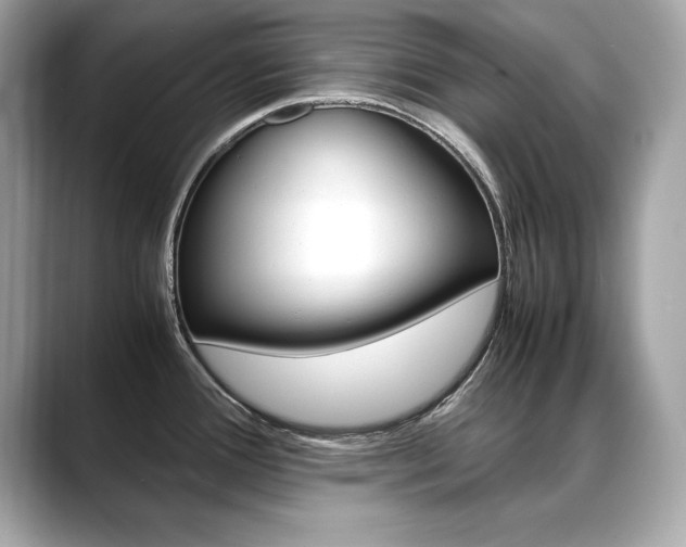 X0000088701388200705311008