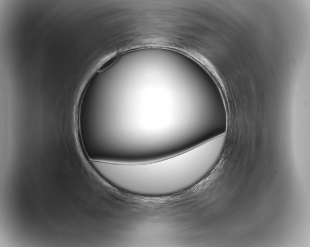 X0000088701389200705311008