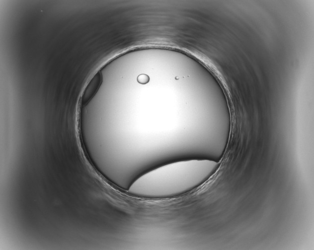 X0000088701390200705311008