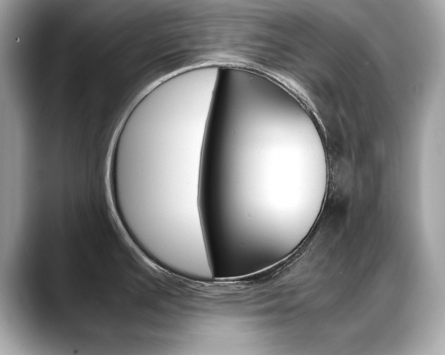 X0000088701391200705311008