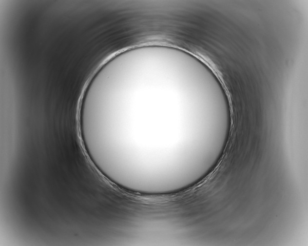 X0000088701392200705311008