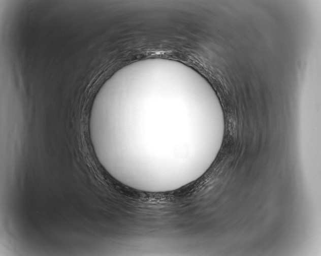 X0000088701393200705311007