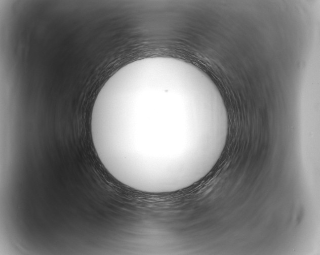 X0000088701394200705311007