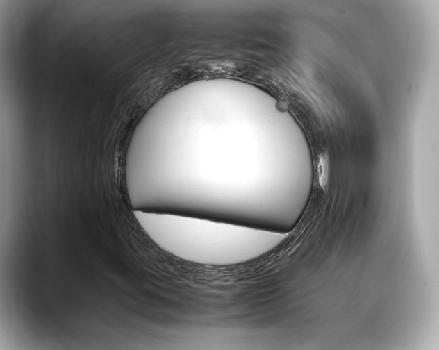 X0000088701395200705311007