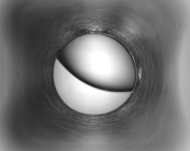 X0000088701396200705311007