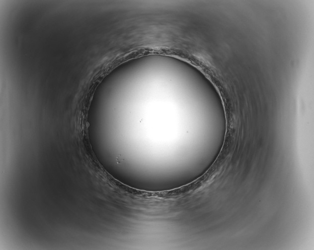 X0000088701398200705311007