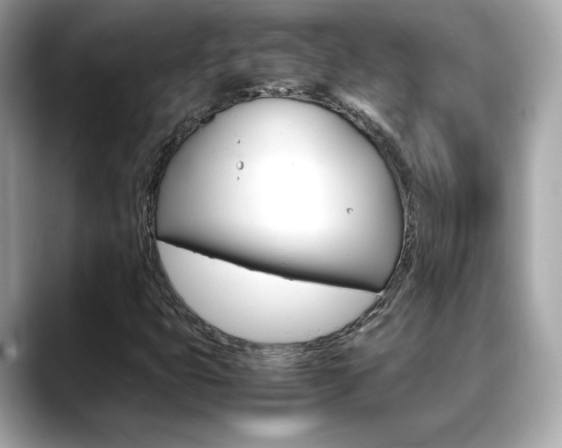 X0000088701399200705311007