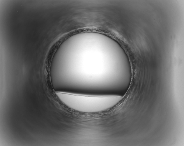 X0000088701400200705311007