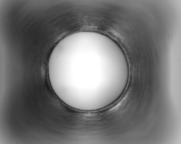 X0000088701401200705311007