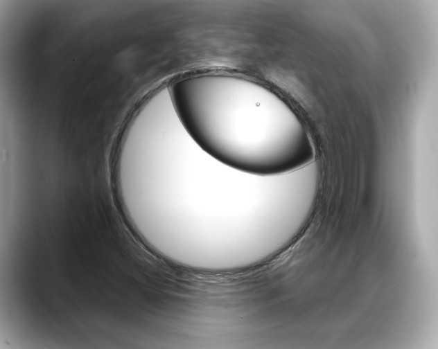 X0000088701404200705311008