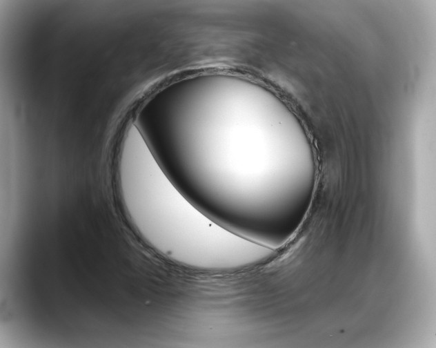 X0000088701406200705311008