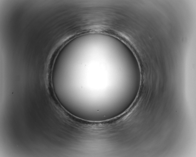 X0000088701410200705311008
