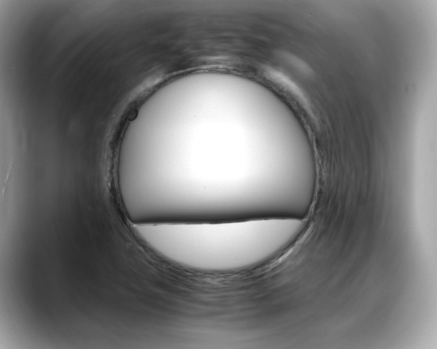 X0000088701411200705311008