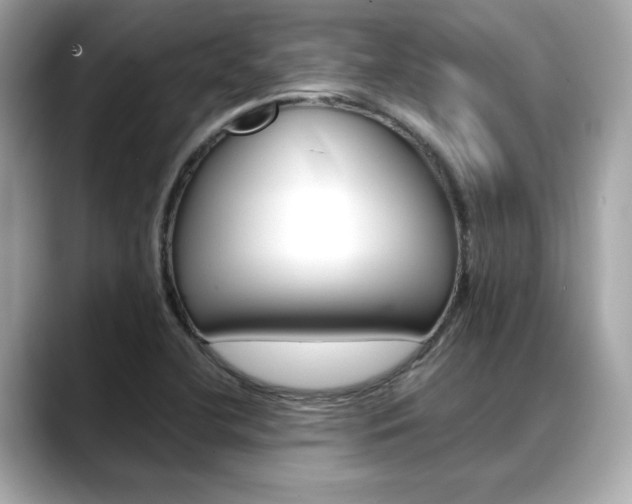 X0000088701412200705311008