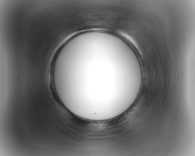 X0000088701415200705311008