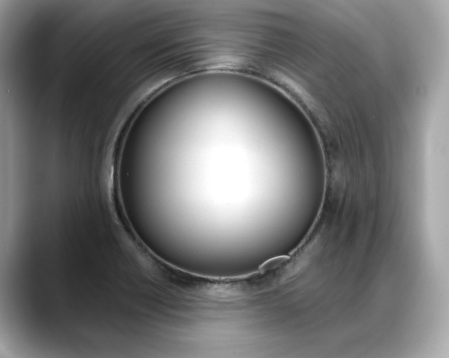X0000088701418200705311008