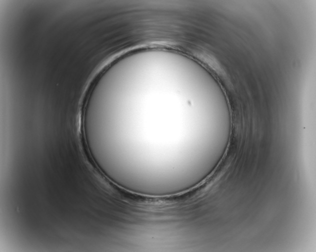 X0000088701420200705311008