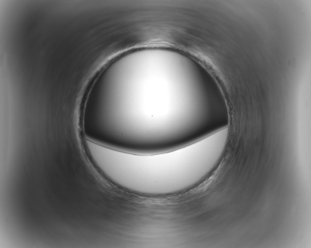 X0000088701422200705311008