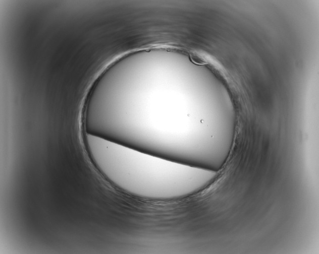X0000088701423200705311008