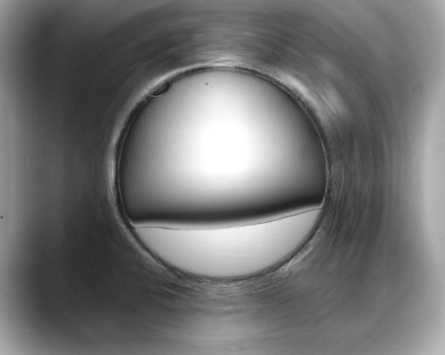 X0000088701424200705311008