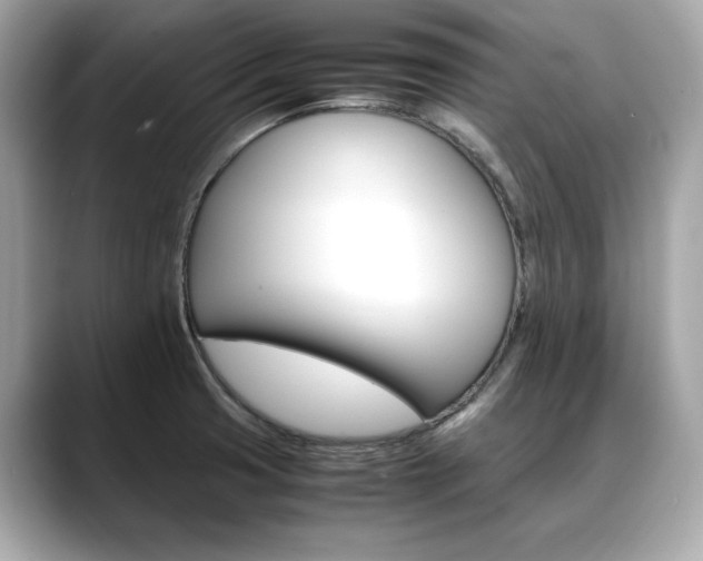X0000088701425200705311008