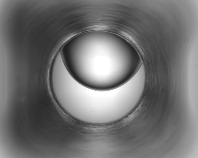 X0000088701426200705311008