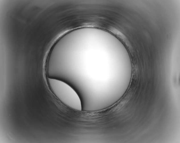 X0000088701427200705311008