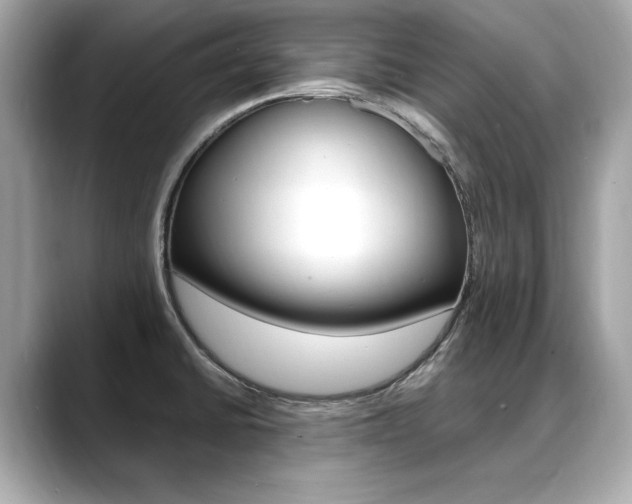 X0000088701430200705311008