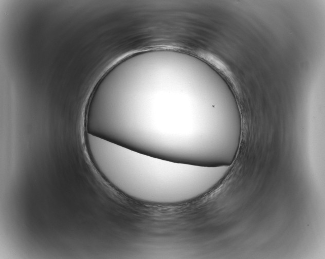 X0000088701431200705311008