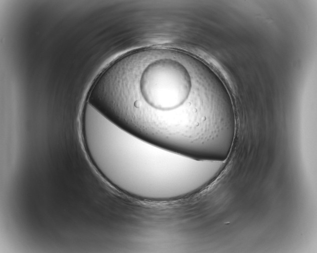 X0000088701432200705311008