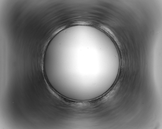 X0000088701433200705311008