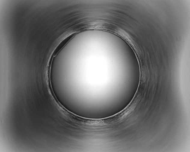 X0000088701434200705311008