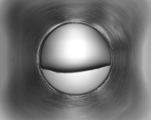 X0000088701436200705311008